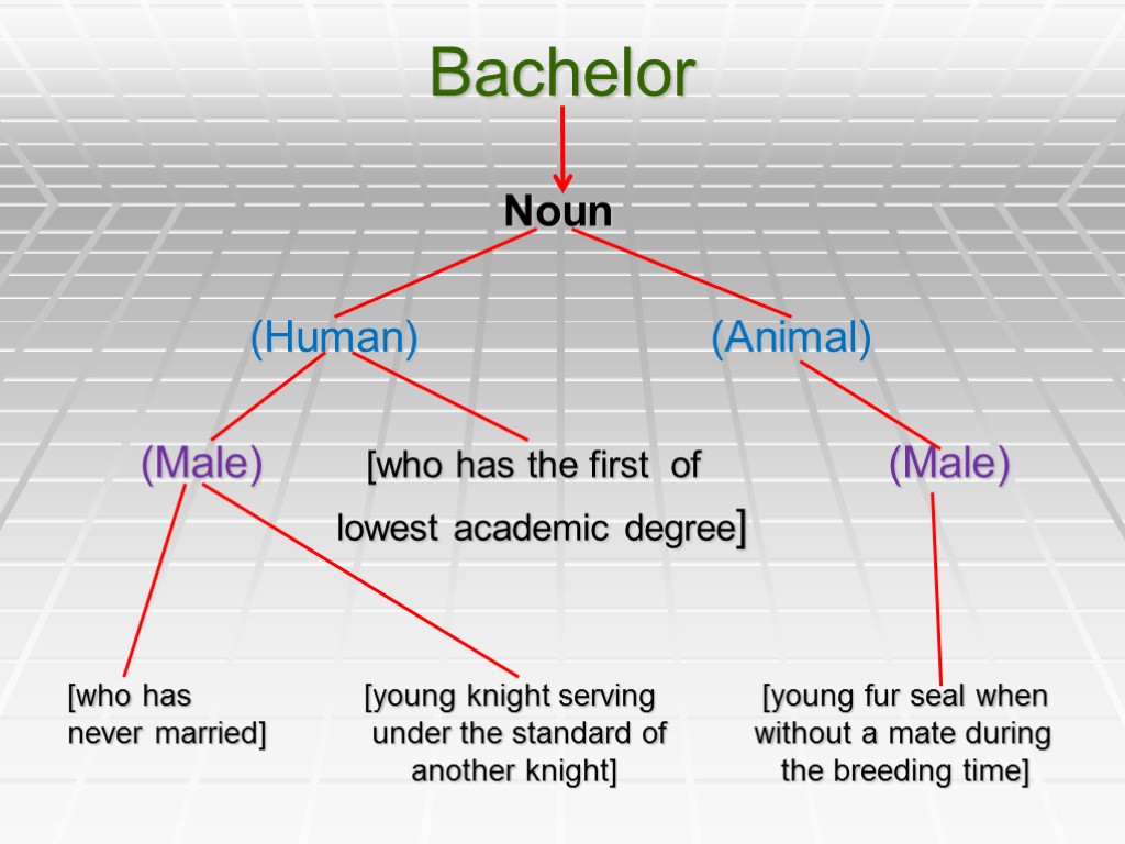 Bachelor Noun (Human) (Animal) (Male) [who has the first of (Male) lowest academic degree]